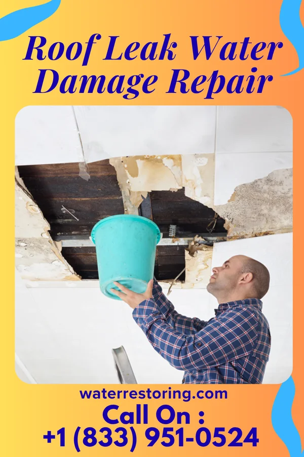 Roof Leak Water Damage Repair in Forest River, ND